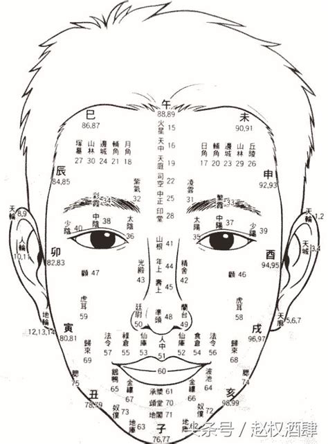 歲數面相年齡|面相與年齡：面相看你各年齡段運勢！看你50歲前能成功嗎？